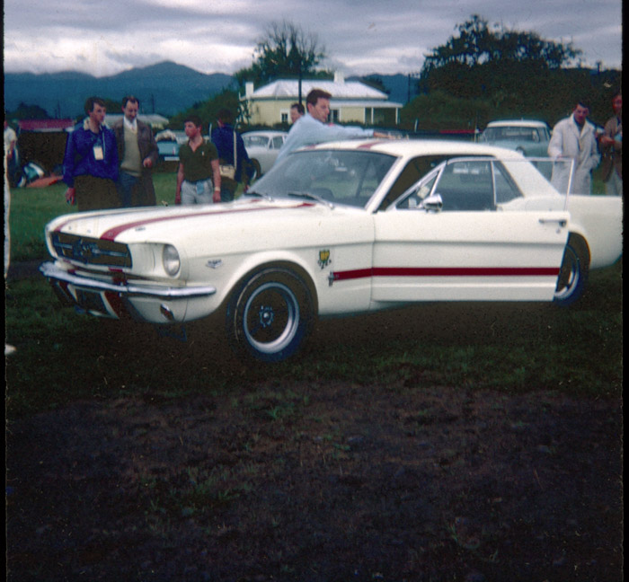 Name:  Mustang being polished.jpg
Views: 1948
Size:  122.5 KB