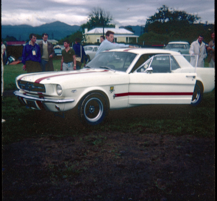 Name:  Mustang being polished.jpg
Views: 2242
Size:  122.5 KB