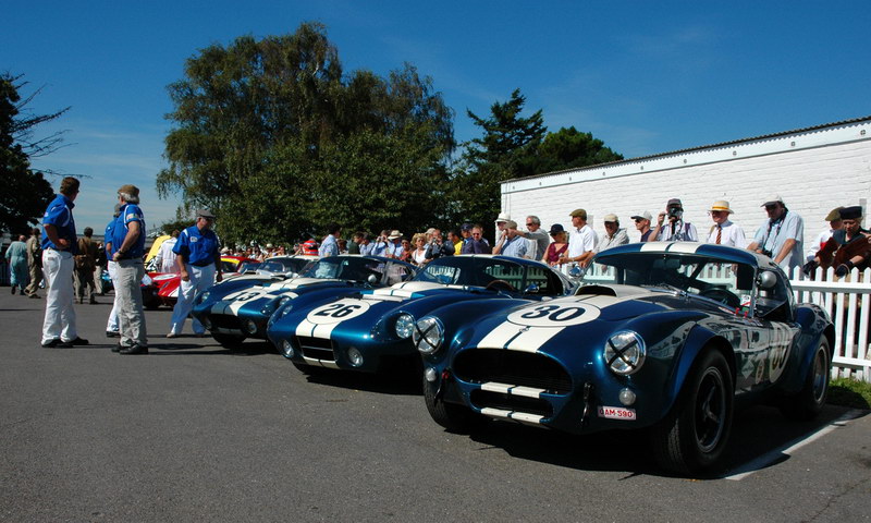 Name:  Racing Cobras_resize.jpg
Views: 908
Size:  134.1 KB