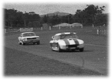 Name:  Mustang &  Custaxie.JPG
Views: 2137
Size:  15.0 KB