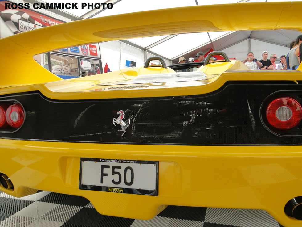 Name:  F50-Rear.jpg
Views: 914
Size:  146.2 KB