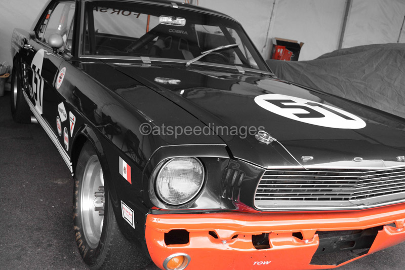 Name:  DSC_1090.jpg
Views: 1899
Size:  133.2 KB