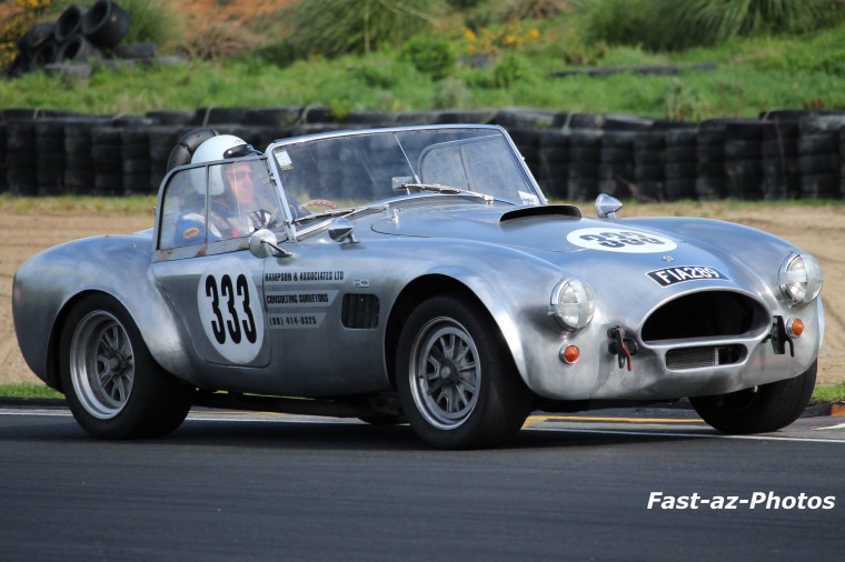 Name:  2 Cobra.jpg
Views: 1357
Size:  113.9 KB