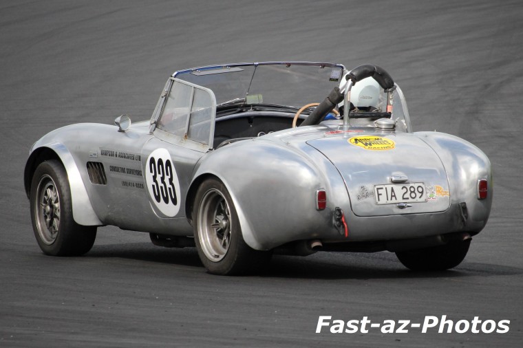 Name:  34 Cobra.jpg
Views: 1249
Size:  100.9 KB