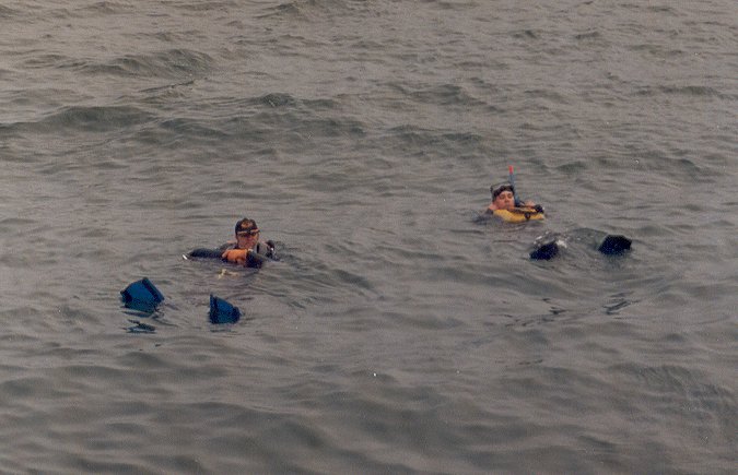 Name:  wellington frogmen.jpg
Views: 2096
Size:  55.5 KB