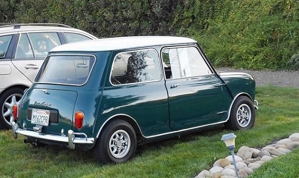 Name:  Mini in the field.jpg
Views: 1328
Size:  182.3 KB