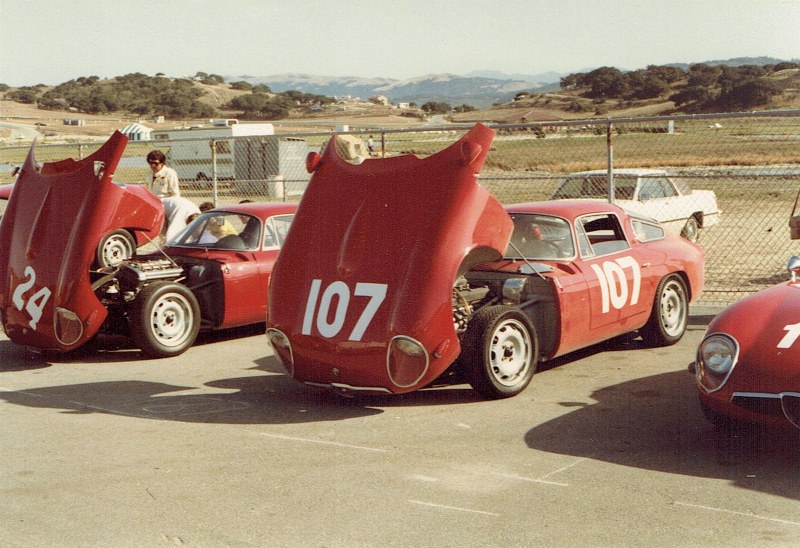Name:  Monterey Historics 1982, Alfa Romeo GTZ's CCI18092015_0003 (800x548).jpg
Views: 1690
Size:  154.4 KB
