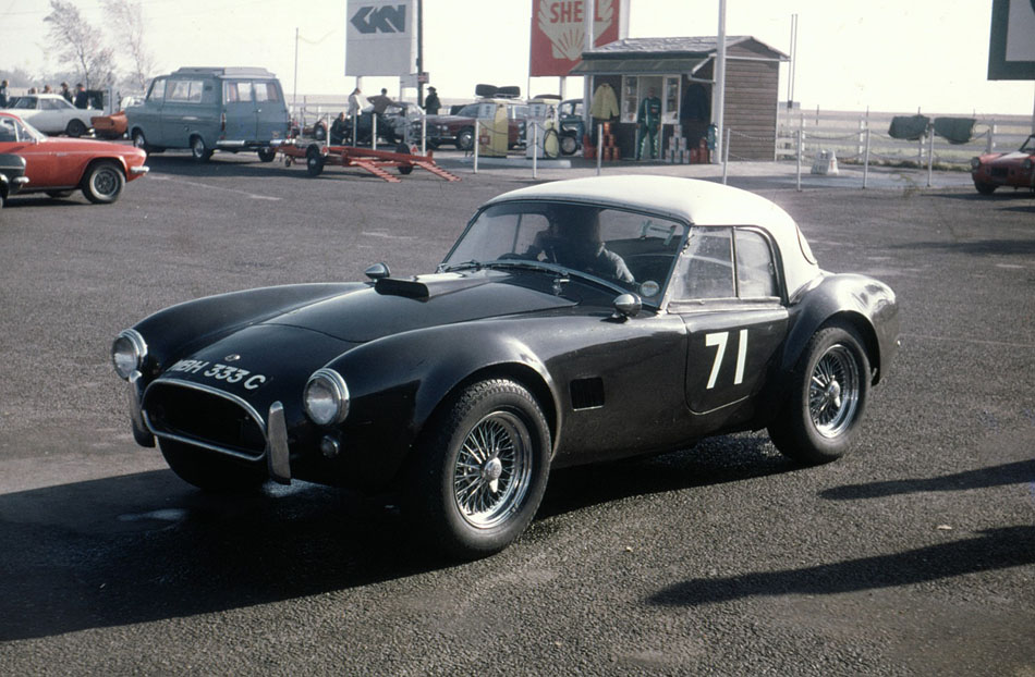 Name:  171_11 Cobra.jpg
Views: 1110
Size:  157.6 KB