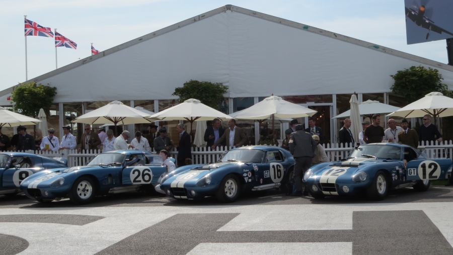 Name:  Goodwood_Cobras.jpg
Views: 462
Size:  169.0 KB