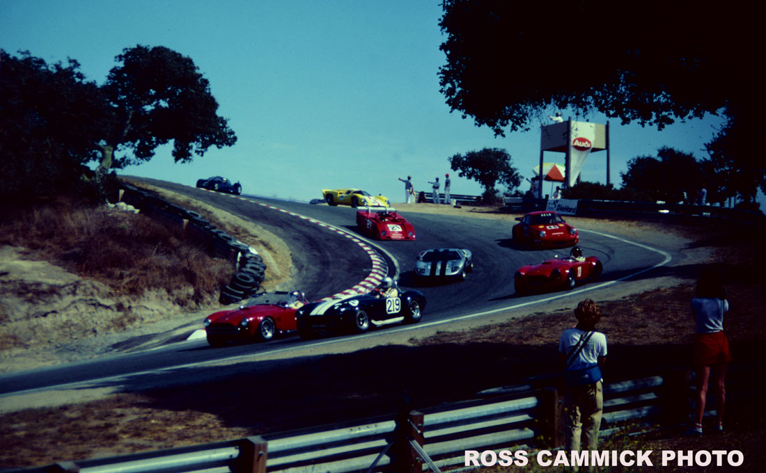 Name:  Cobras-Race-Laguna82.jpg
Views: 1078
Size:  148.5 KB