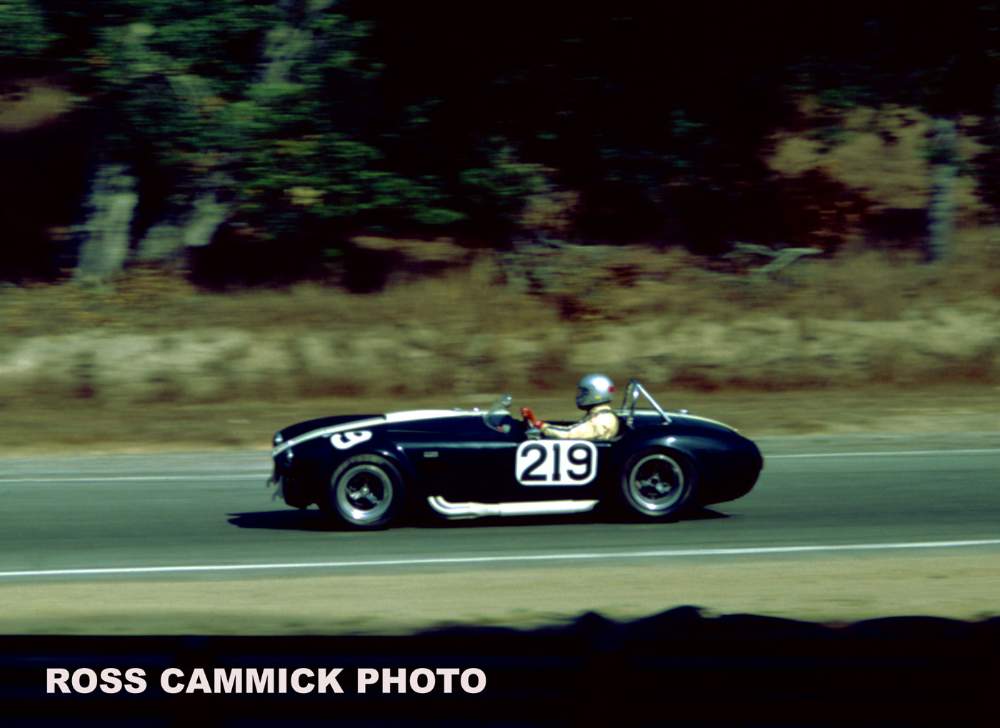 Name:  Blue-Cobra-Laguna82.jpg
Views: 1359
Size:  158.7 KB