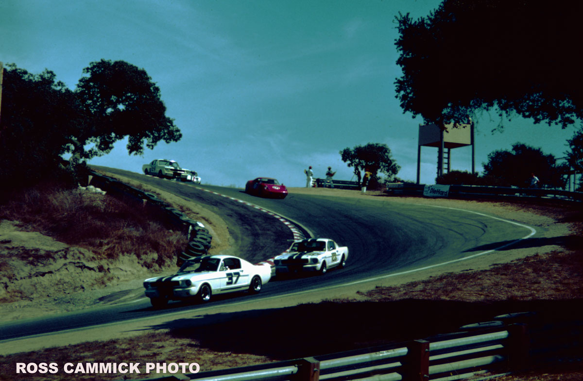 Name:  Mustangs-Laguna82.jpg
Views: 1415
Size:  168.2 KB