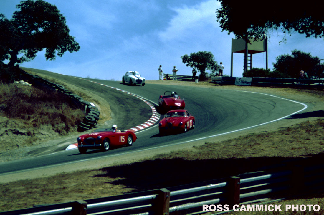 Name:  Red-Healey-Laguna82.jpg
Views: 1542
Size:  168.7 KB