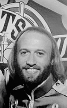 Name:  BeeGees.jpg
Views: 2106
Size:  52.8 KB