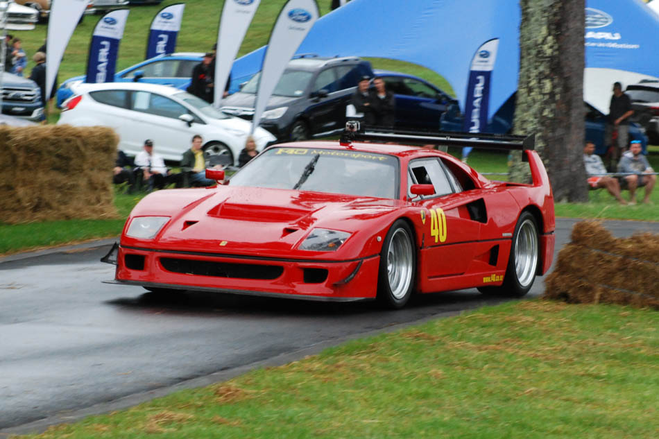 Name:  216_0207_038 F40.JPG
Views: 1260
Size:  125.5 KB