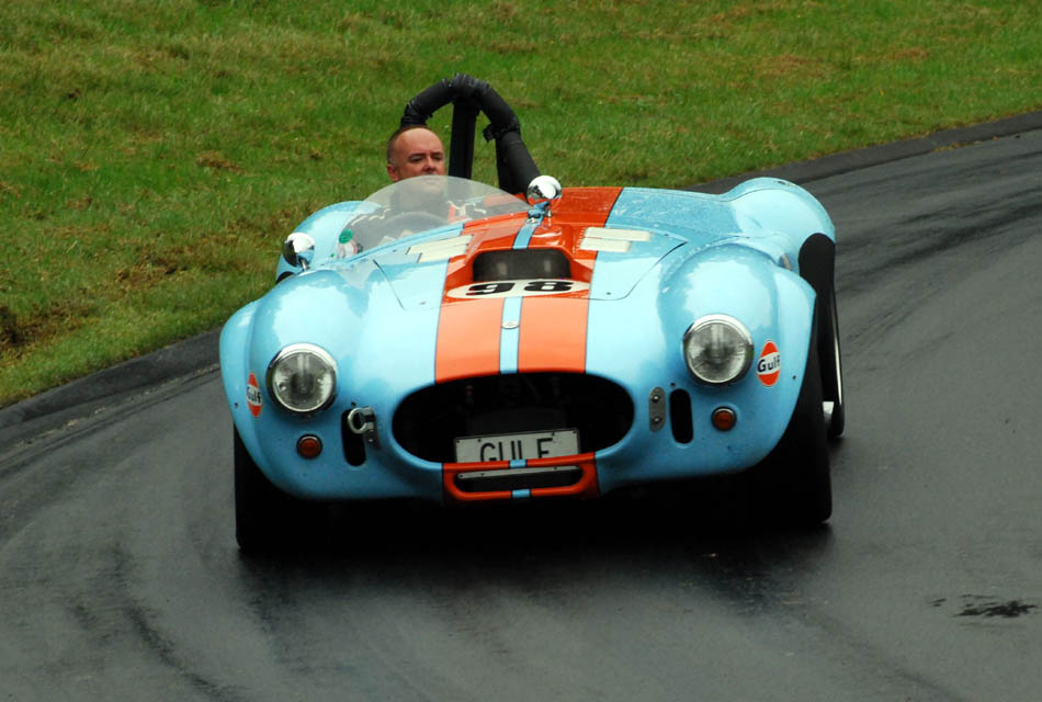 Name:  216_0207_045 Cobra replica.JPG
Views: 1150
Size:  102.5 KB