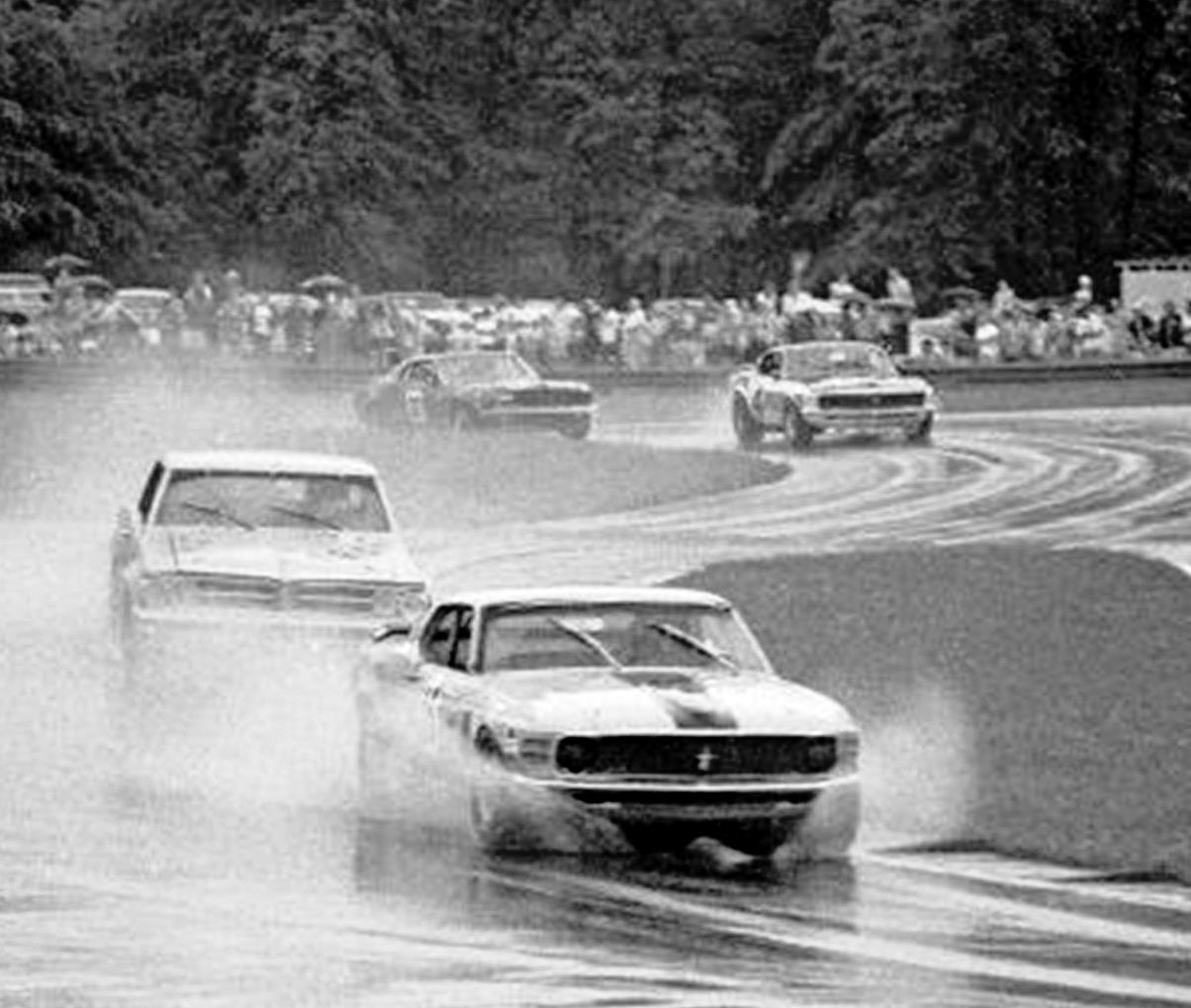 Name:  Tempest in the rain..jpg
Views: 1491
Size:  123.7 KB