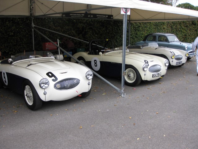 Name:  209_0918_142 Healey.JPG
Views: 1166
Size:  98.9 KB