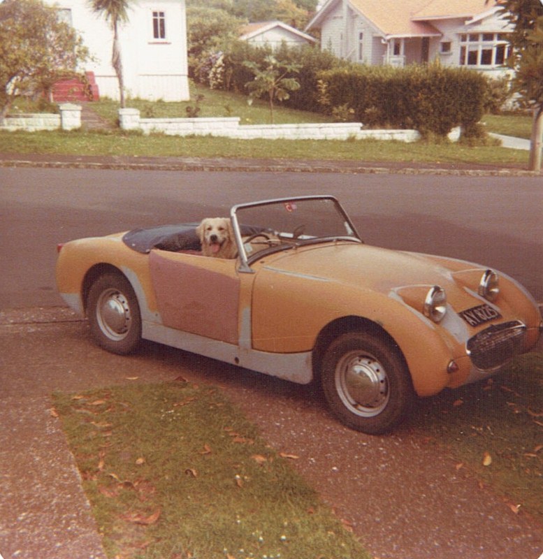 Name:  Cars by Roger Dowding #35 1960 A-H Sprite & Sam Mt Albert 1981 CCI09022016_0007 (777x800).jpg
Views: 951
Size:  167.6 KB