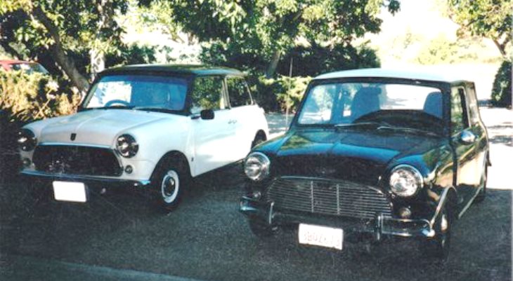 Name:  Minis in the driveway_0004.jpg
Views: 857
Size:  78.0 KB