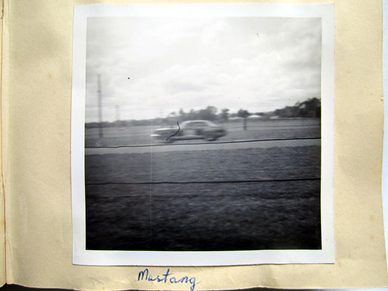 Name:  IMG_3013.JPG
Views: 1803
Size:  100.9 KB