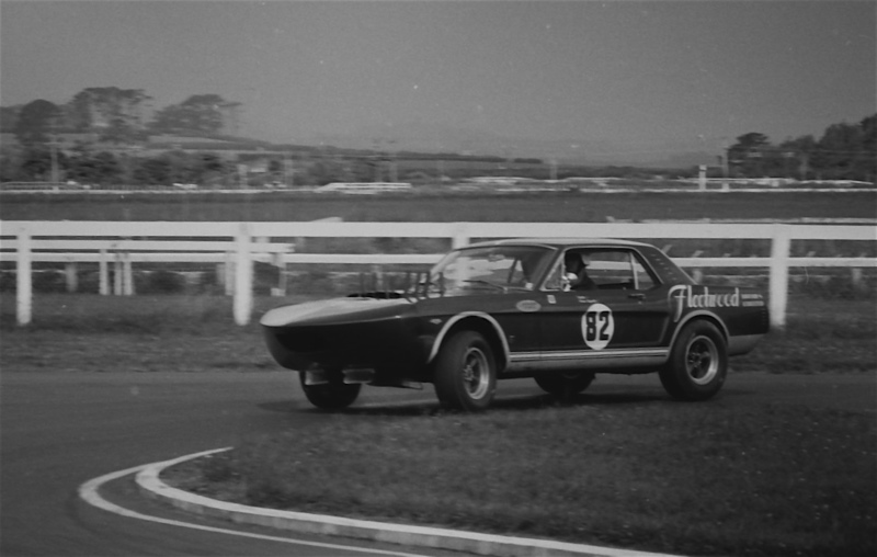 Name:  Fleetwood Mustang 66 - David Mckinney.jpg
Views: 1444
Size:  110.0 KB