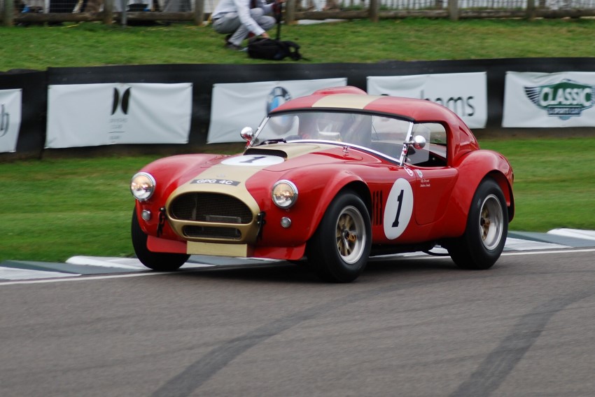 Name:  216_0909_854 AC Cobra.JPG
Views: 953
Size:  136.7 KB