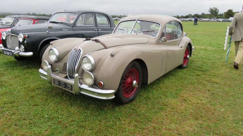 Name:  216_0910_474 Jaguar.JPG
Views: 1119
Size:  153.0 KB