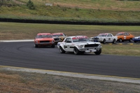 Name:  DSC_0042.JPG
Views: 852
Size:  57.8 KB