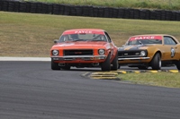 Name:  DSC_0080.JPG
Views: 682
Size:  58.1 KB