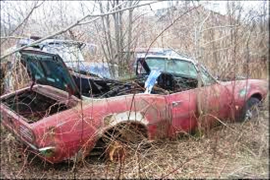 Name:  1967 Firebird..jpg
Views: 1138
Size:  168.4 KB