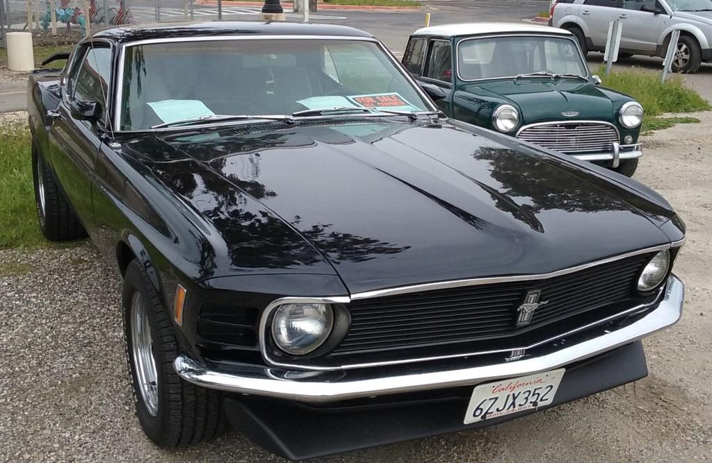 Name:  1970 Mustang.# 1.jpg
Views: 1170
Size:  137.2 KB