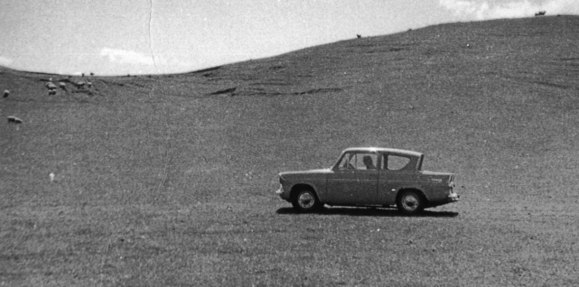 Name:  anglia on the farm.jpg
Views: 571
Size:  185.4 KB
