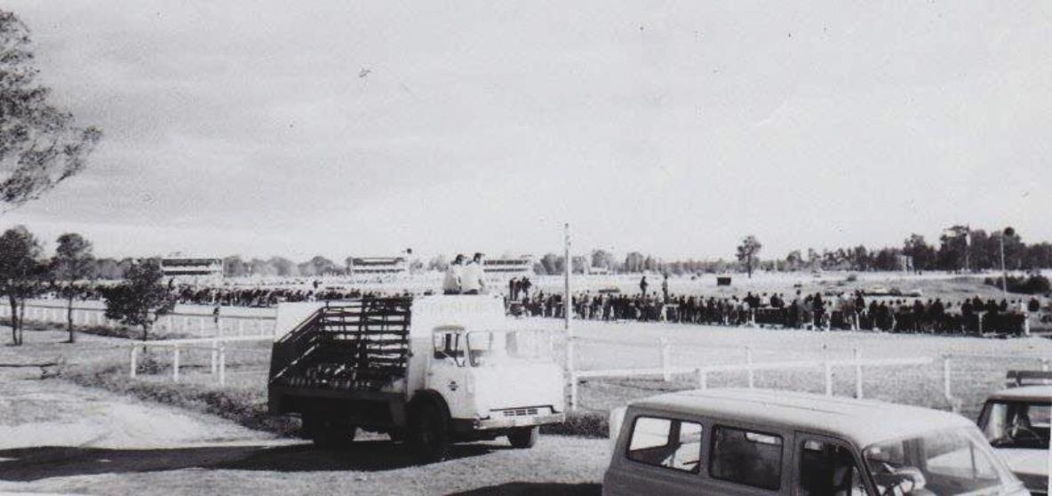 Name:  1970 Warwick Farm.jpg
Views: 1173
Size:  72.4 KB