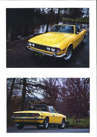 Name:  Stag 2.jpg
Views: 706
Size:  34.9 KB