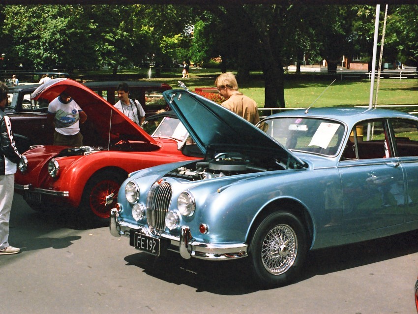 Name:  185_0212_105 Jaguar.jpg
Views: 1104
Size:  181.7 KB