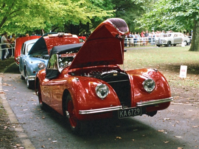 Name:  185_0212_211 Jaguar.jpg
Views: 1075
Size:  165.0 KB