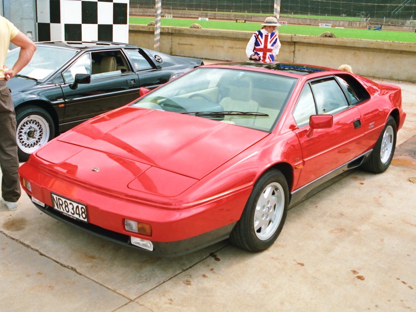 Name:  190_1104_116 Lotus.jpg
Views: 974
Size:  149.9 KB