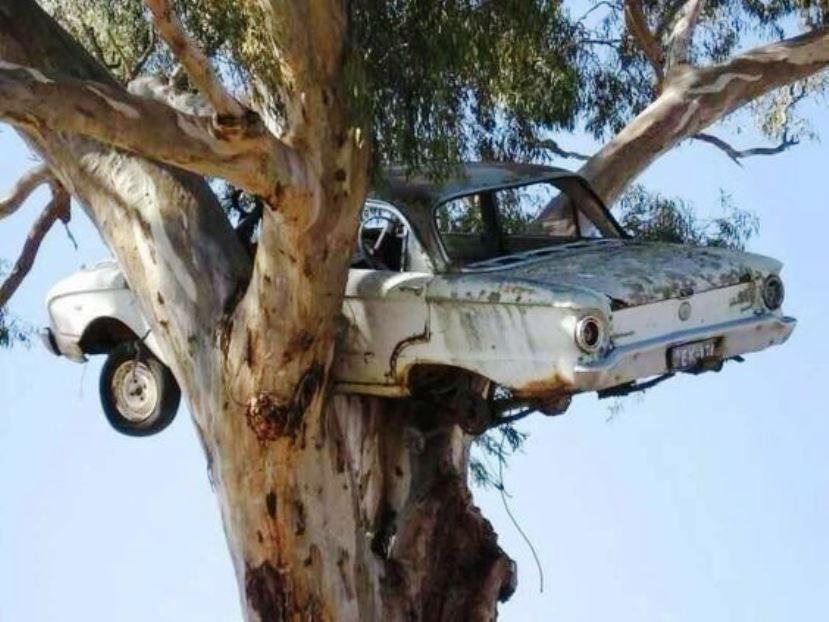 Name:  Paul's spare car !.jpg
Views: 1507
Size:  77.7 KB