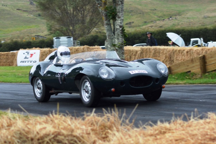 Name:  218_0204_008 Jaguar r.JPG
Views: 735
Size:  144.5 KB
