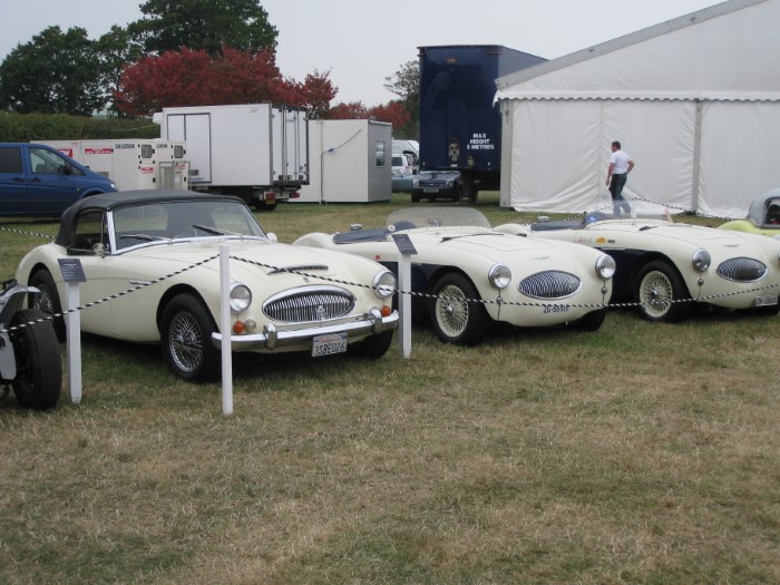 Name:  AH 100S #11 S's at Goodwood 2009 Ray Green .jpg
Views: 596
Size:  117.0 KB