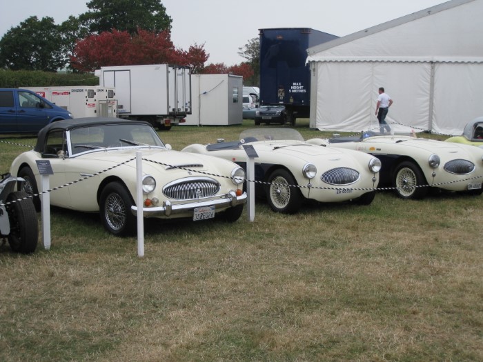 Name:  AH 100S #11 S's at Goodwood 2009 Ray Green .jpg
Views: 317
Size:  117.0 KB