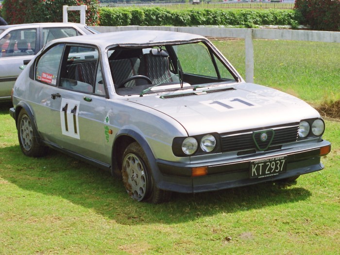 Name:  202_0223_05 Alfa.JPG
Views: 721
Size:  123.7 KB