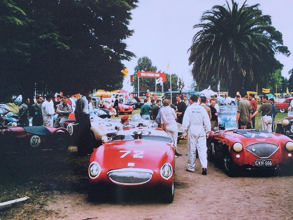 Name:  AH 100 #56 Climax engined Sprite and AH 100 Albert Park 1958 TT Peter Dobe.jpg
Views: 633
Size:  113.4 KB