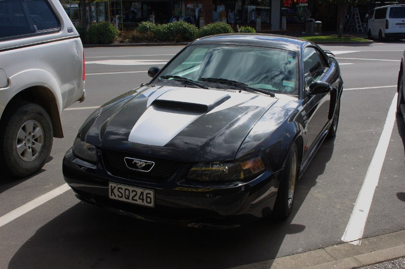 Name:  Cars #50 Mustang 2018_08_19_0527 (800x533).jpg
Views: 852
Size:  131.6 KB