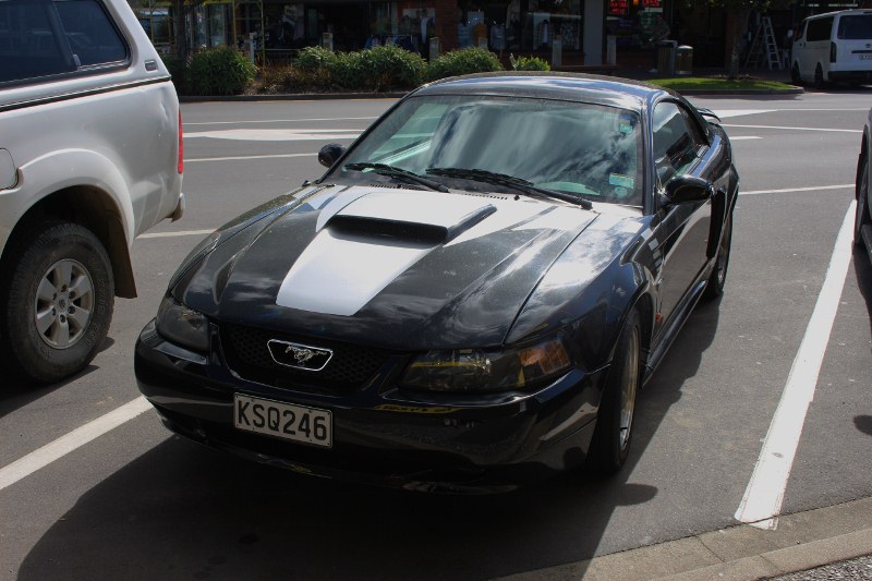 Name:  Cars #50 Mustang 2018_08_19_0527 (800x533).jpg
Views: 1134
Size:  131.6 KB