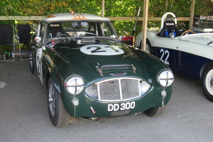 Name:  218_0907_0076 Austin Healey.JPG
Views: 682
Size:  120.7 KB