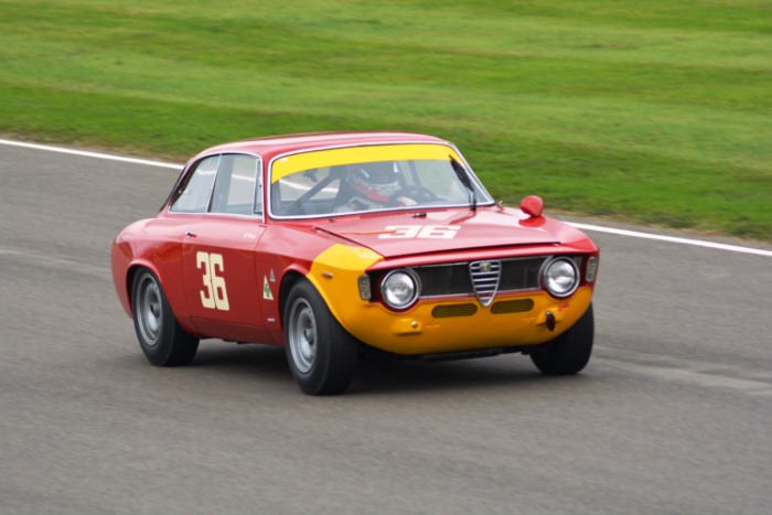 Name:  218_0908_0489 Alfa.JPG
Views: 688
Size:  107.7 KB