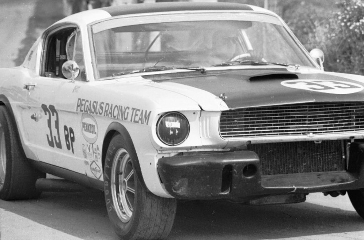 Name:  SHELBY%20GT350%20SYDNEY%20FINKEL.jpg
Views: 1697
Size:  159.9 KB