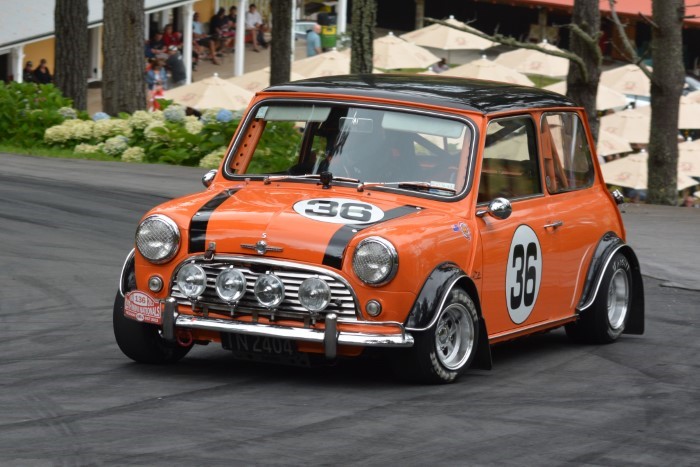 Name:  219_0203_213 Mini.JPG
Views: 1252
Size:  138.8 KB
